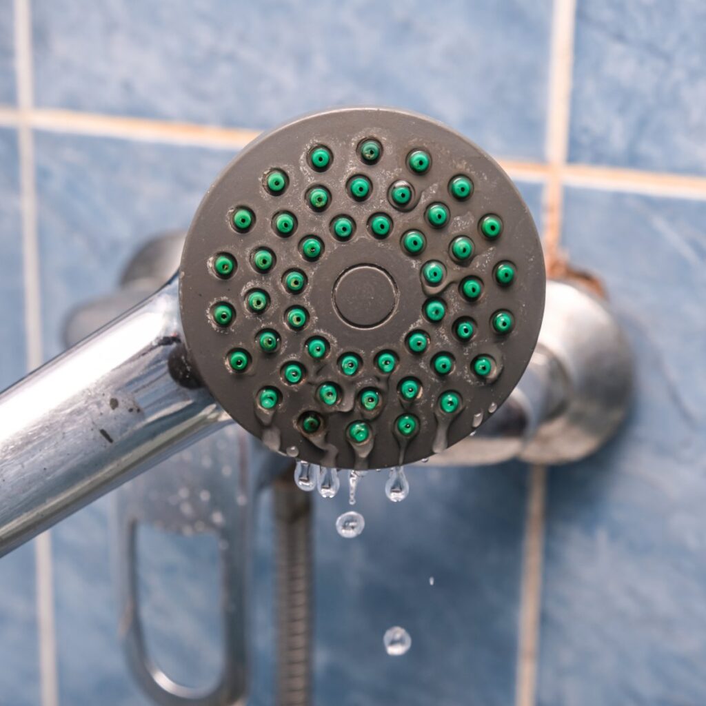 leaking shower head